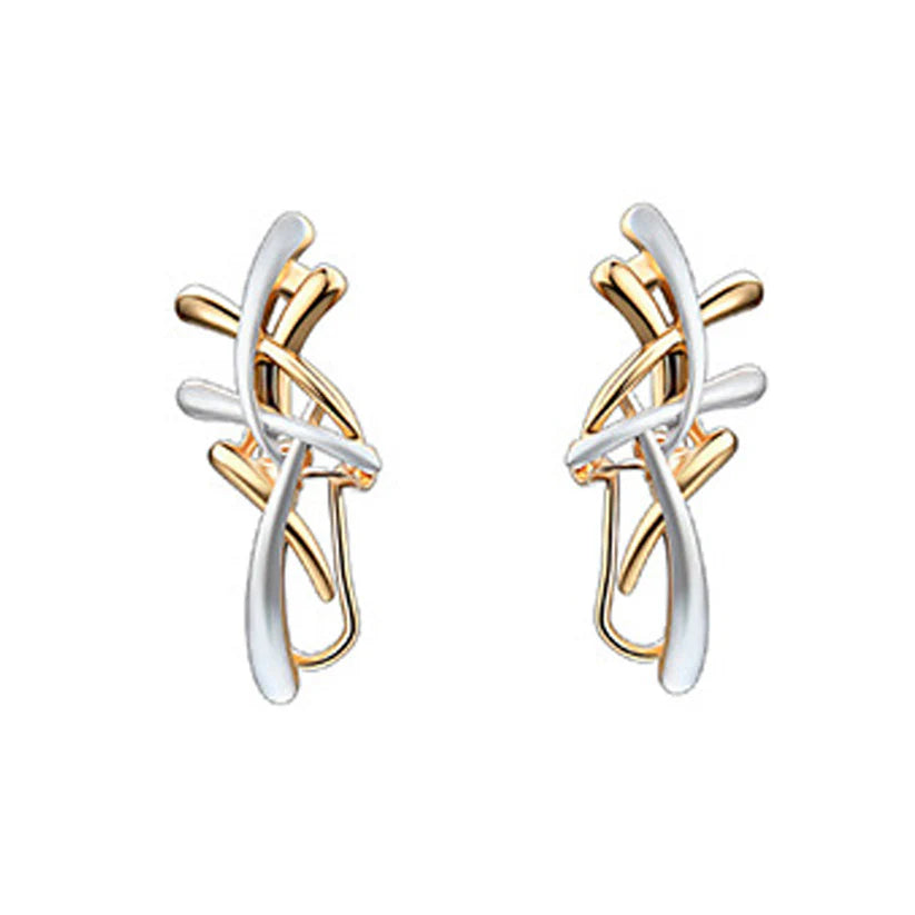 Pair of gold and silver earrings on a white background